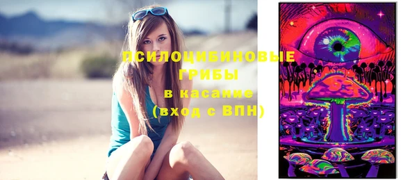 спиды Ельня