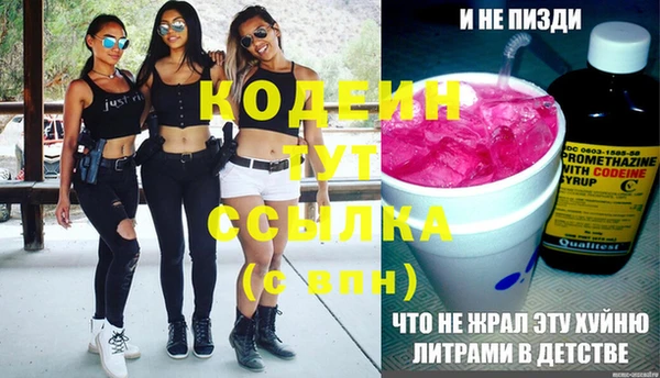 Альфа ПВП Елизово