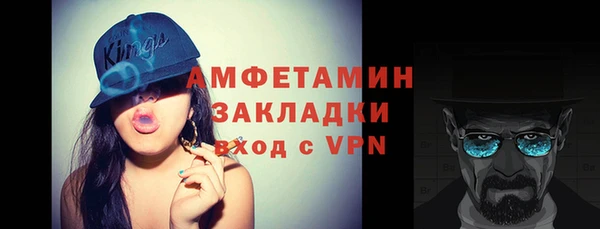 спиды Ельня