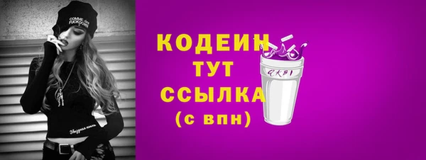 спиды Ельня
