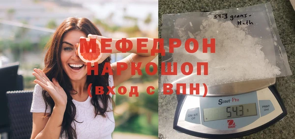 спиды Ельня